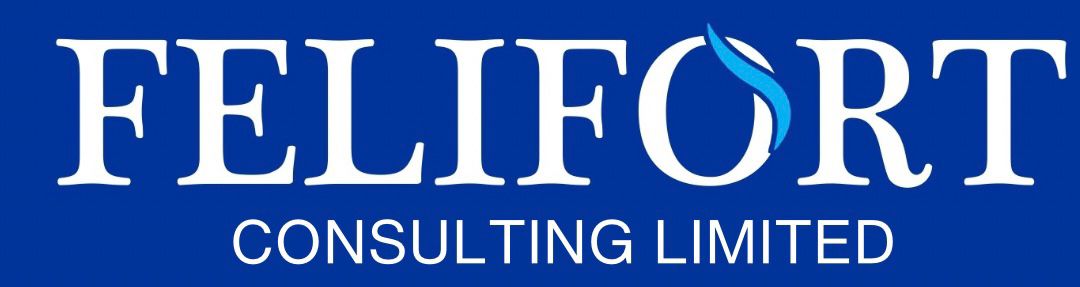 Felifort Consulting
